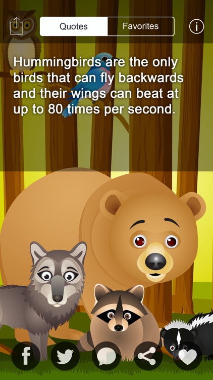 Animal Facts -  Cool Fun Fact for Kids Discovery