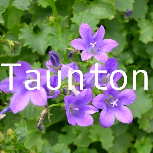 hiTaunton: offline map of Taunton icon