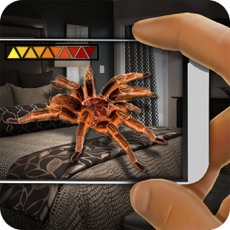 Activities of Spider Camera Radar Prank