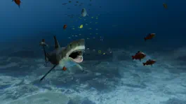 Game screenshot Aquarium VR apk