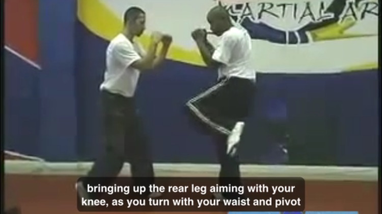 Krav Maga Clinic