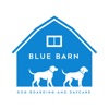 Blue Barn Dog