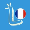 Lingufy: French A1, A2