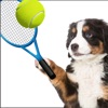 Dog Tennis - Fun Game