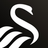 Swansea City