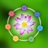 Holistic Healers Hub