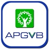 APGVB Positive Pay