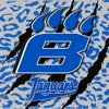 Hilliard Bradley Jaguars