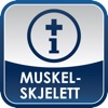 Muskel-Skjelett (IM-App)