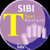 Text to Gesture SIBI