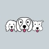 Fetch Fido