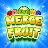 Fruit & Toy: Merge Game