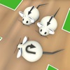 Tricky Mouse Escape Games
