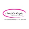 Domestic Angels Academy