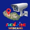 Madeira Webcams