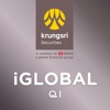 Krungsri Securities iGlobal QI