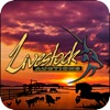 Livestock Auctions