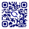 Your QR Code Generator