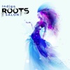 Indigo Roots Salon