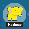 Learn Hadoop & Big Data