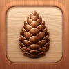 Pines: Tent & RV Camping App
