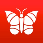Photo Insect - Identify Bugs