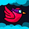 Fun Birds: Run Games