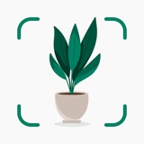 Plantify: AI Plant Identifier logo