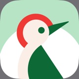 Taptap Send: Money Transfer Statistics Taptap Send: Money Transfer logo