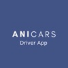 Anicars driver