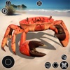 King Crab Life Simulator Game