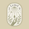 路洣 Lumiè A.M