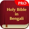 The Holy Bible in Bengali Pro