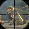 Wild Animal Hunting Games 2024