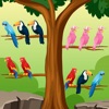 Bird Sort - Color Puzzle Games