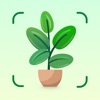 Plant Note:  Identifier & Care
