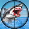 Shark Attack Simulator Game 3D