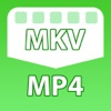 MKV to MP4 Converter