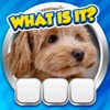 Guess it! Zoom Pic Trivia Game