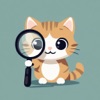 KittenMagnifier