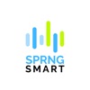 SPRNG Smart