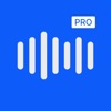 Voice To Text Transcribe Pro