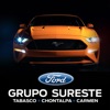 Ford Grupo Sureste