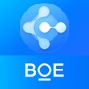 BOE Share