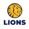 Lions Cricket