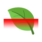 Plant Identifier - Scan Apps