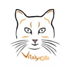 VitalyCats