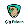 Gig Falcon