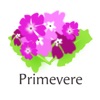 Primevere