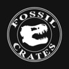 Fossil Crates T. rex